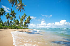 Sunlight Dancing On The Pristine Brazilian Beach Wallpaper