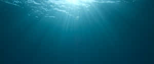 Sunlight Underwater Blue Ocean Wide Wallpaper