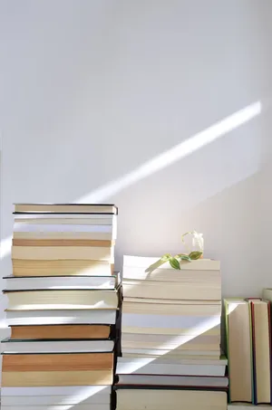 Sunlit_ Books_and_ Shadow_ Art Wallpaper