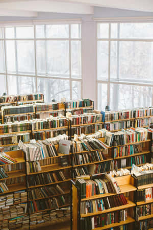 Sunlit Bookshelves Cozy Library Aesthetic.jpg Wallpaper