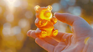 Sunlit Gummy Bearin Hand.jpg Wallpaper