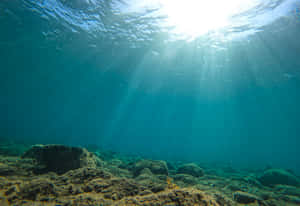 Sunlit_ Ocean_ Depths.jpg Wallpaper