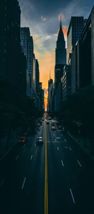 Sunlit Rose Petals Wallpaper