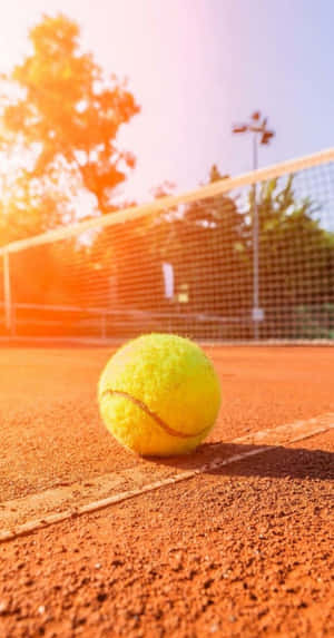 Sunlit Tennis Ballon Court.jpg Wallpaper