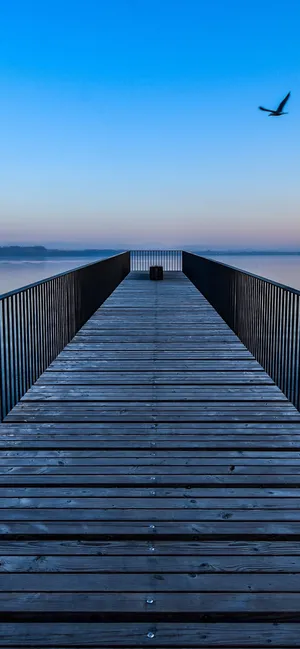 Sunny Beach View With Palm Trees And White Sand Wallpaper