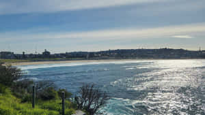 Sunny_ Bondi_ Beach_ View_ Australia.jpg Wallpaper