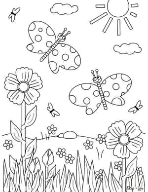 Sunny Butterfly Coloring Page Wallpaper