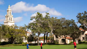 Sunny College Campus Life Wallpaper