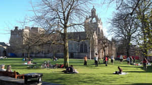 Sunny Day Aberdeen University Green Wallpaper