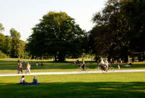 Sunny Day Park Picnic Scene.jpg Wallpaper