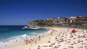 Sunny Dayat Bondi Beach Australia Wallpaper