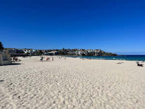 Sunny Dayat Bondi Beach Wallpaper