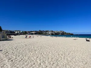 Sunny Dayat Bondi Beach Wallpaper