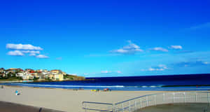 Sunny Dayat Bondi Beach Wallpaper