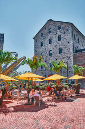 Sunny Dayat Distillery District Patio Wallpaper