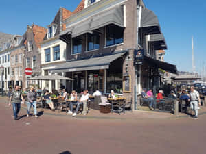 Sunny Dayat Hoorn Marina Cafe Wallpaper