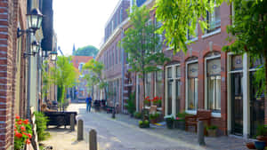 Sunny Dayin Haarlem Cobblestone Street Wallpaper