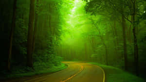 Sunny Green Landscape Wallpaper