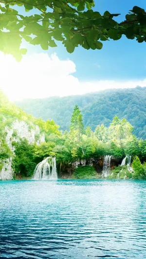 Sunny National Park Portrait Wallpaper