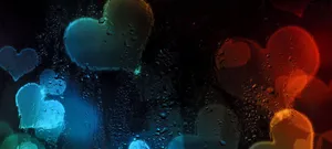 Sunrise In A Small Forest In The Heart Of Europe. Wallpaper