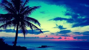 Sunrise Nature By The Beach Wallpaper