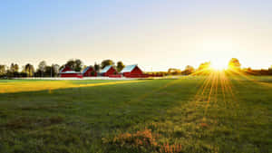 Sunrise Over Expansive Farmland Wallpaper