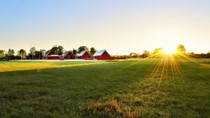 Sunrise Over Expansive Farmland Wallpaper