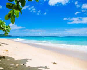 Sunrise Over The Hills Wallpaper