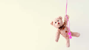 Sunrise Reflecting Off The Beautiful Lake Waters Wallpaper