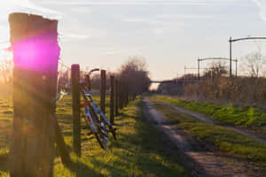 Sunset Bike Rest Tilburg Countryside Wallpaper