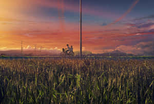 Sunset Bike Ride Through Fields Wallpaper