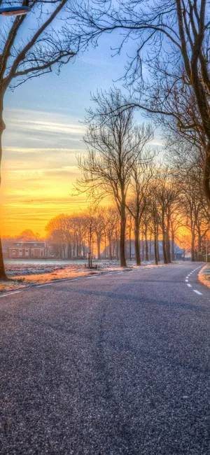 Sunset Boulevard Winter Scene Wallpaper