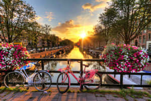 Sunset Canal Bicycles Flowers Wallpaper