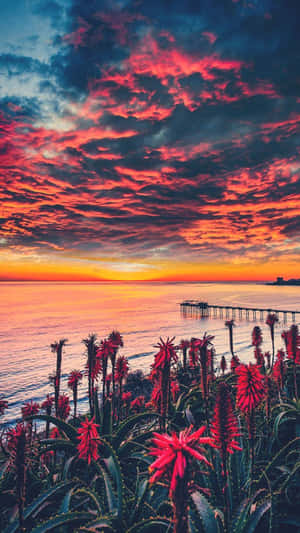 Sunset Cloud In San Diego Iphone Wallpaper