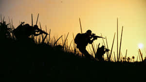 Sunset Grass Silhouette Military Desktop Wallpaper