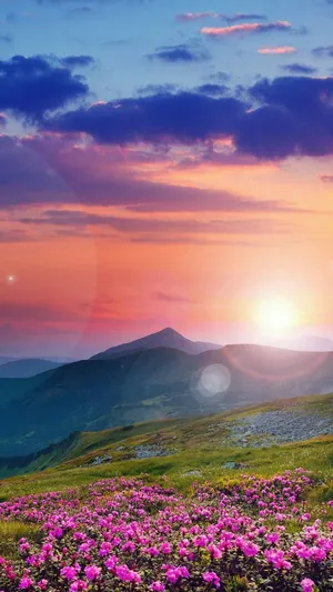 Sunset_ Mountain_ Majesty.jpg Wallpaper
