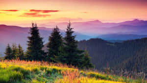 Sunset_ Mountain_ View_ H D_ Landscape Wallpaper