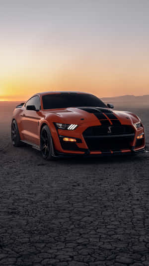 Sunset Orange Shelby G T500on Desert Road Wallpaper