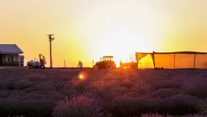 Sunset Over Country Farm Wallpaper