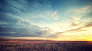 Sunset_ Over_ Golden_ Grassland_ H D Wallpaper