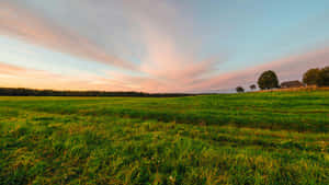 Sunset Over Green Farmland Wallpaper