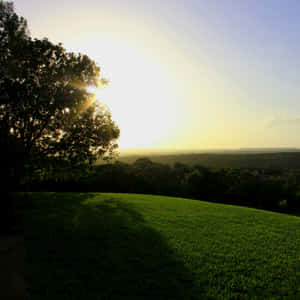 Sunset Over Green Hillside Wallpaper