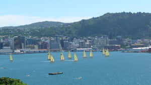 Sunset Over Lower Hutt, New Zealand Wallpaper