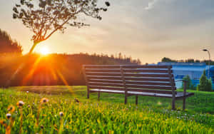 Sunset Park Bench Summer4 K Ultra Wide Wallpaper