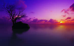 Sunset Reflection On Tranquil Waters Wallpaper