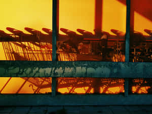 Sunset Shopping Carts Aesthetic Wallpaper