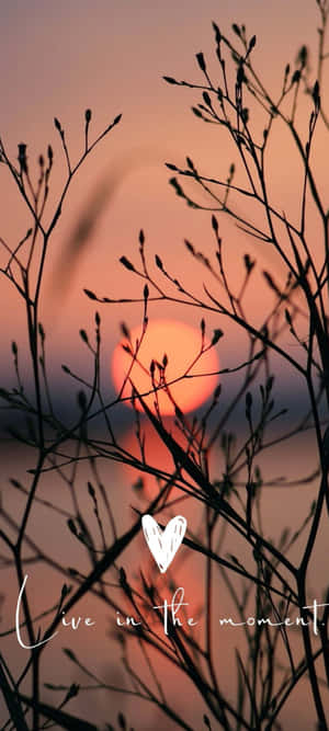 Sunset Silhouette Inspiration Wallpaper