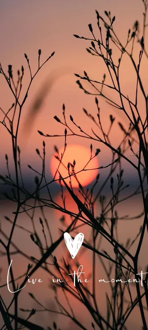 Sunset Silhouette Inspiration Wallpaper