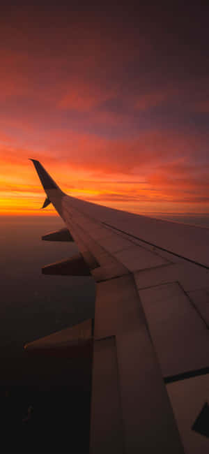 Sunset_ Wings_ Above_ Clouds Wallpaper