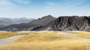 Superficial Cracks On Mountainside Wallpaper